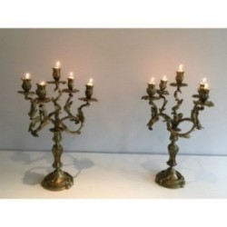Pair of Bronze Candelabras with 5 Light Arms, Circa 1900