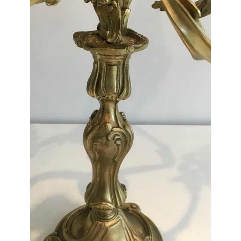 Pair of Bronze Candelabras with 5 Light Arms, Circa 1900