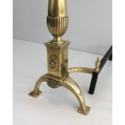Paire De Chenets de Style Néoclassique En Bronze