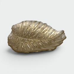 FONDBLANC