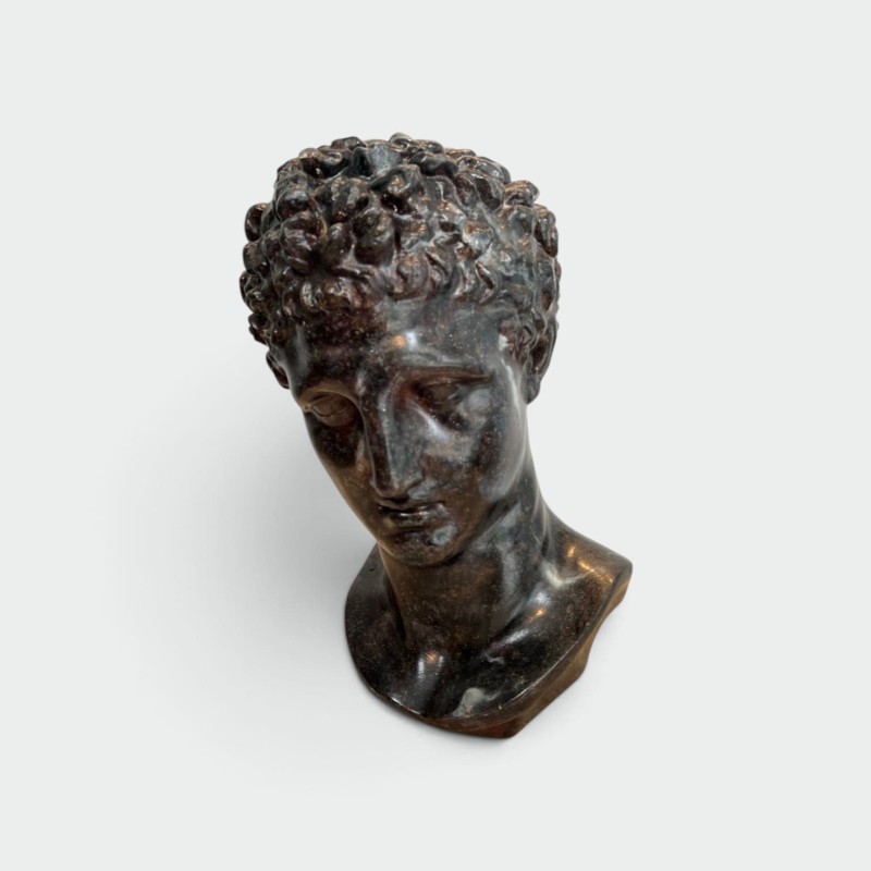 Bust of a Greek Man in the Antique Manner in Patinated Pla | Maison Barrois