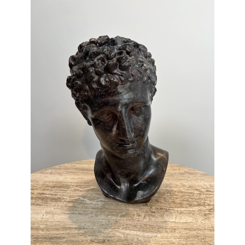 Bust of a Greek Man in the Antique Manner in Patinated Pla | Maison Barrois