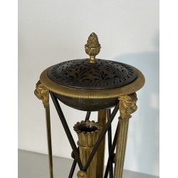 Pair of Perfume Burners in Gilt and Patinated Bronze in the Empire Style, in the Style of Claude Galle, 19th Century