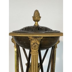 Pair of Perfume Burners in Gilt and Patinated Bronze in the Empire Style, in the Style of Claude Galle, 19th Century