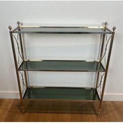 Neoclassical Silvered Metal Shelf Unit with Glass, Attributed to Maison Jansen, circa 1940