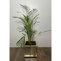 Square Mirrored Jardinière with Gilt Metal Moulded Frame